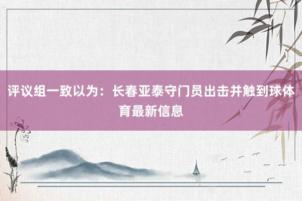 评议组一致以为：长春亚泰守门员出击并触到球体育最新信息